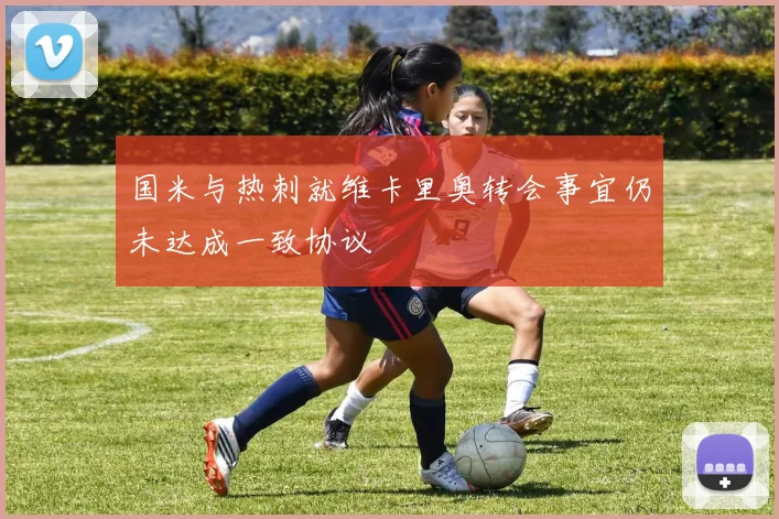 国米与热刺就维卡里奥转会事宜仍未达成一致协议